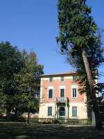 Asilo Nido