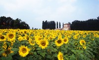 05/09/2012: incontro con gli abitanti di San Carlo