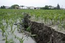 La liquefazione nell'Alto Ferrarese Il Problema della Liquefazione nell'Alto Ferrarese